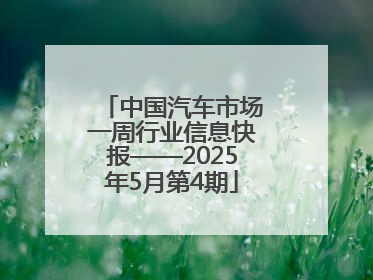 中国汽车市场一周行业信息快报——2025年5月第4期