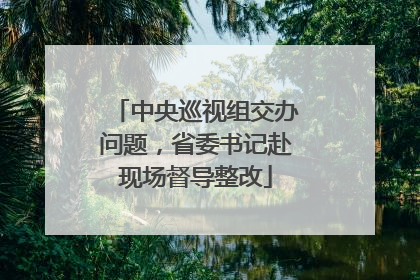 中央巡视组交办问题，省委书记赴现场督导整改