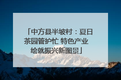 中方县半坡村：夏日茶园管护忙 特色产业绘就振兴新图景