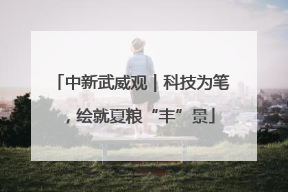 中新武威观｜科技为笔，绘就夏粮“丰”景