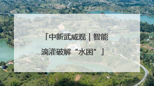 中新武威观｜智能滴灌破解“水困”