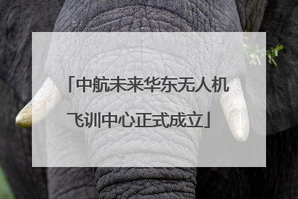 中航未来华东无人机飞训中心正式成立