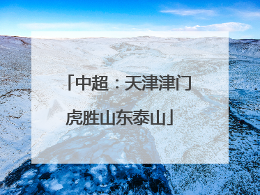 中超：天津津门虎胜山东泰山