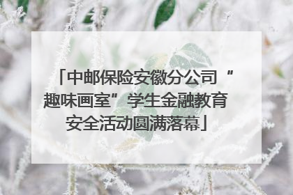 中邮保险安徽分公司“趣味画室”学生金融教育安全活动圆满落幕
