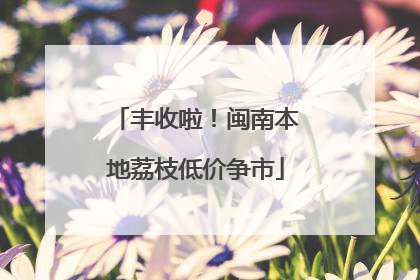 丰收啦！闽南本地荔枝低价争市