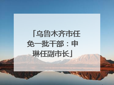 乌鲁木齐市任免一批干部：申琳任副市长