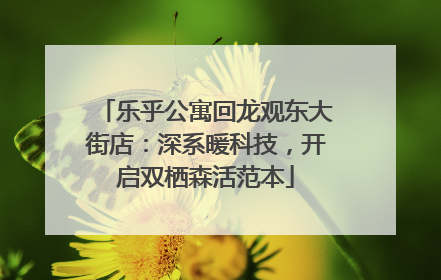 乐乎公寓回龙观东大街店：深系暖科技，开启双栖森活范本