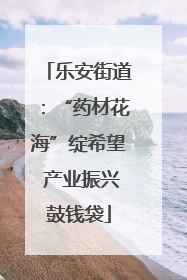 乐安街道：“药材花海”绽希望 产业振兴鼓钱袋