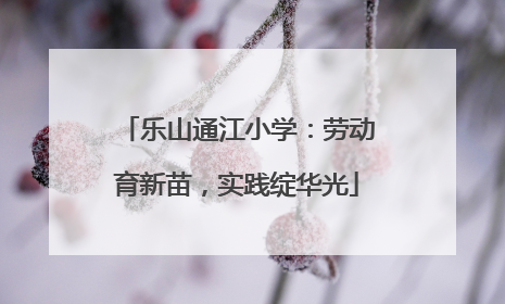 乐山通江小学：劳动育新苗，实践绽华光
