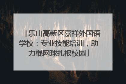 乐山高新区嘉祥外国语学校：专业技能培训，助力棍网球扎根校园
