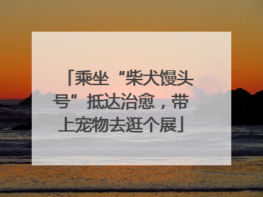 乘坐“柴犬馒头号”抵达治愈，带上宠物去逛个展