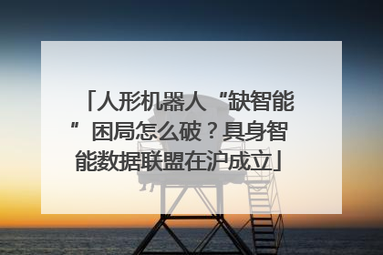 人形机器人“缺智能”困局怎么破？具身智能数据联盟在沪成立