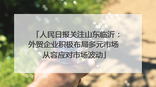 人民日报关注山东临沂：外贸企业积极布局多元市场 从容应对市场波动
