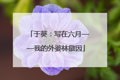 于葵：写在六月——我的外婆林徽因