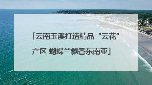 云南玉溪打造精品“云花”产区 蝴蝶兰飘香东南亚