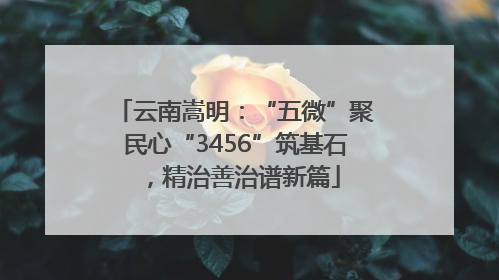 云南嵩明：“五微”聚民心“3456”筑基石，精治善治谱新篇