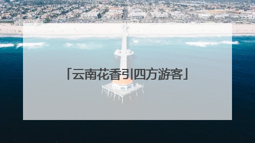 云南花香引四方游客