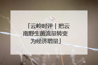 云岭时评｜把云南野生菌流量转变为经济增量