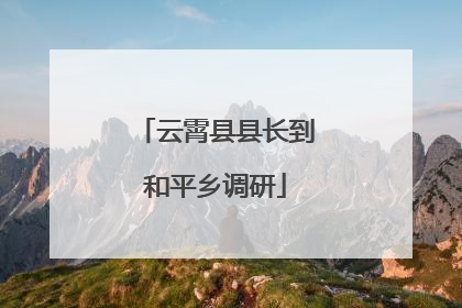 云霄县县长到和平乡调研