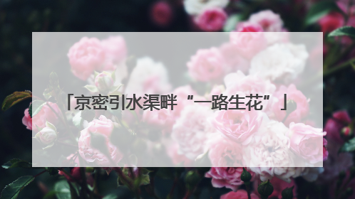 京密引水渠畔“一路生花”