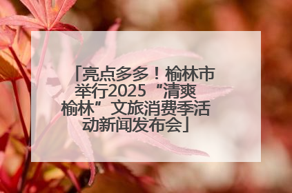 亮点多多！榆林市举行2025“清爽榆林”文旅消费季活动新闻发布会