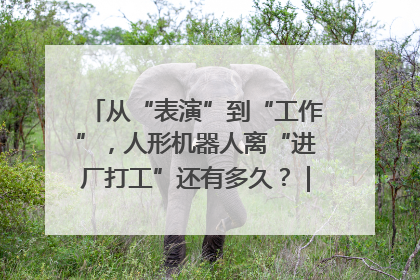 从“表演”到“工作”，人形机器人离“进厂打工”还有多久？｜机器人商业新纪元