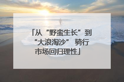 从“野蛮生长”到“大浪淘沙” 骑行市场回归理性