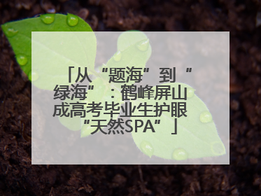 从“题海”到“绿海”：鹤峰屏山成高考毕业生护眼“天然SPA”