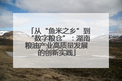 从“鱼米之乡”到“数字粮仓”：湖南粮油产业高质量发展的创新实践