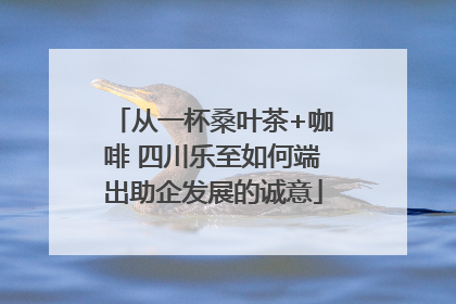 从一杯桑叶茶+咖啡 四川乐至如何端出助企发展的诚意