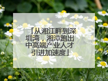 从湘江畔到深圳湾，湘潭跑出中高端产业人才引进加速度