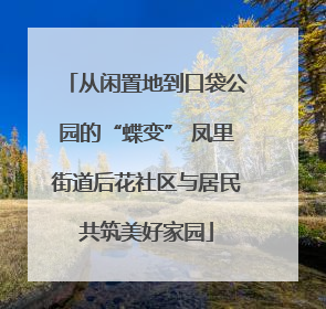 从闲置地到口袋公园的“蝶变” 凤里街道后花社区与居民共筑美好家园