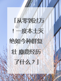 从零到过万！一度本土灭绝如今种群复壮 麋鹿经历了什么？