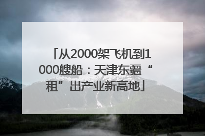 从2000架飞机到1000艘船：天津东疆“租”出产业新高地