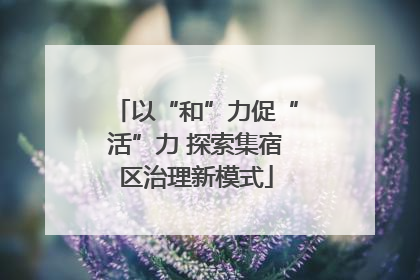 以“和”力促“活”力 探索集宿区治理新模式
