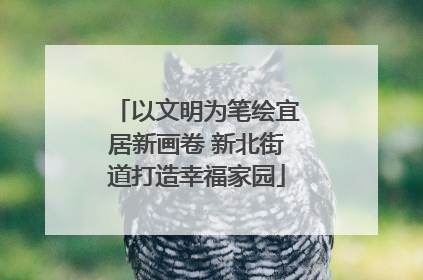 以文明为笔绘宜居新画卷 新北街道打造幸福家园
