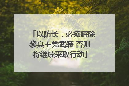 以防长：必须解除黎真主党武装 否则将继续采取行动