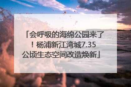 会呼吸的海绵公园来了！杨浦新江湾城7.35公顷生态空间改造焕新