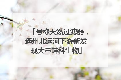 号称天然过滤器，通州北运河下游新发现大量蚌科生物