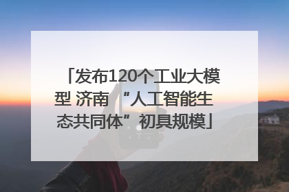 发布120个工业大模型 济南 “人工智能生态共同体”初具规模