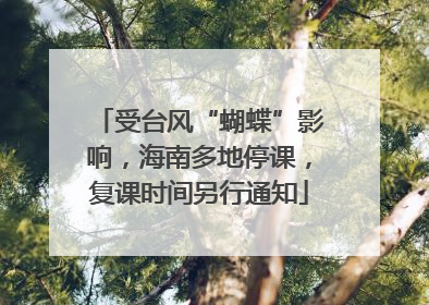 受台风“蝴蝶”影响，海南多地停课，复课时间另行通知