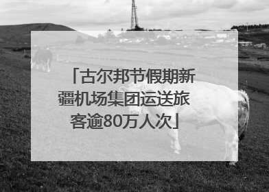 古尔邦节假期新疆机场集团运送旅客逾80万人次