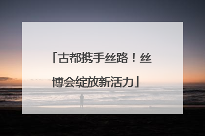 古都携手丝路！丝博会绽放新活力