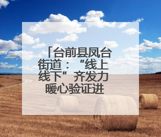 台前县凤台街道：“线上线下”齐发力 暖心验证进行时