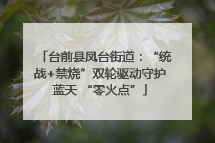 台前县凤台街道：“统战+禁烧”双轮驱动守护蓝天 “零火点”