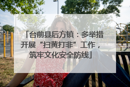 台前县后方镇：多举措开展“扫黄打非”工作，筑牢文化安全防线