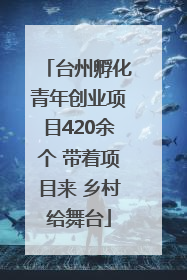 台州孵化青年创业项目420余个 带着项目来 乡村给舞台