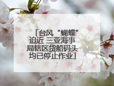 台风“蝴蝶”迫近 三亚海事局辖区货船码头均已停止作业