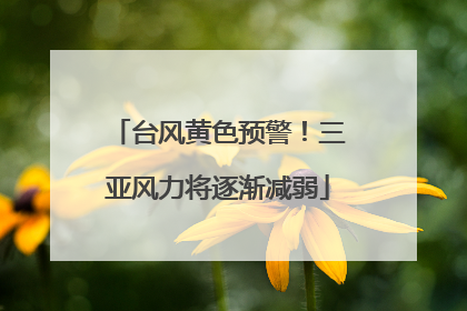 台风黄色预警！三亚风力将逐渐减弱