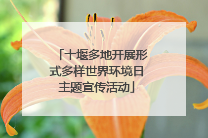 十堰多地开展形式多样世界环境日主题宣传活动